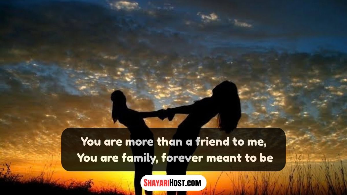 Heart Touching Best Friend Shayari English