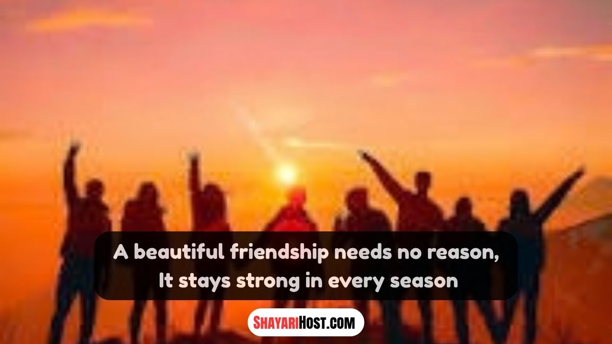 True Friend Shayari In English True Friend Shayari In English
