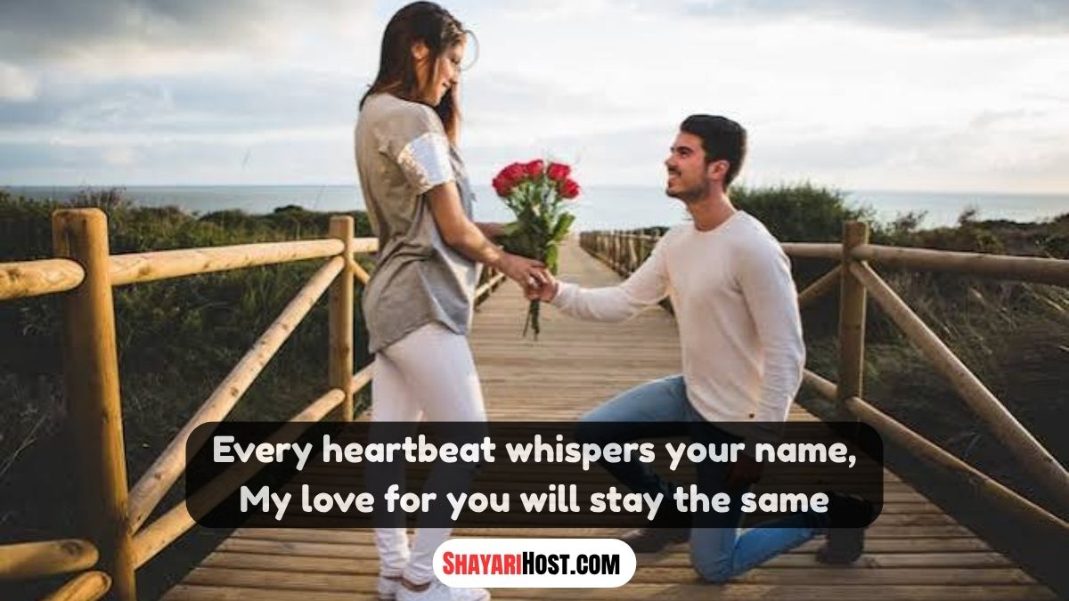 English Propose Lines