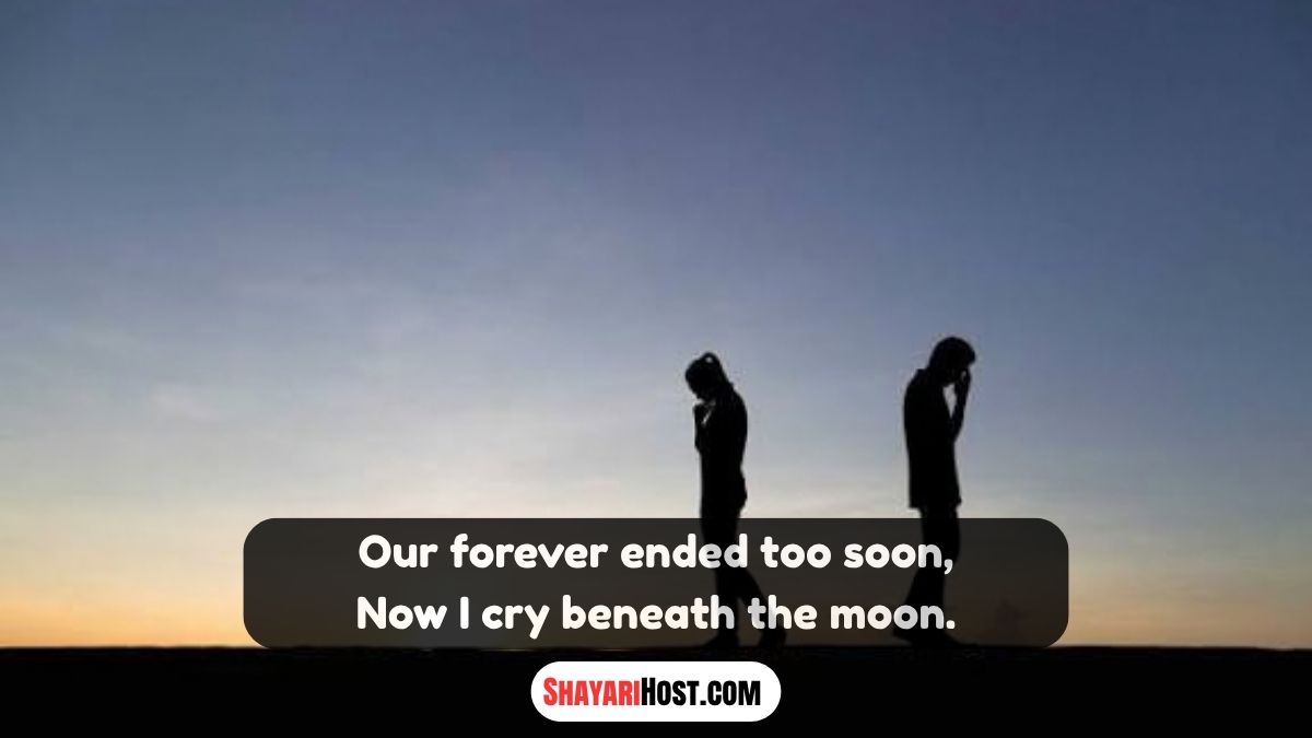 Heart Touching Breakup Shayari In English Text