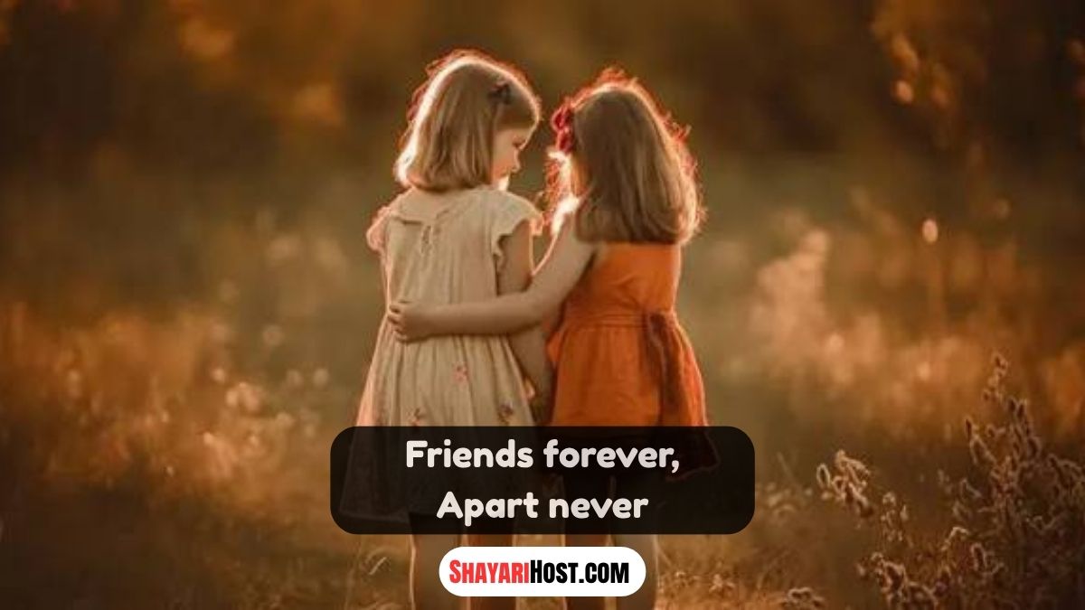 Short Shayari For Best Friend In English For Girl Short Shayari For Best Friend In English For Girl