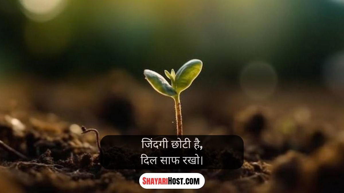True Line In Hindi For Instagram